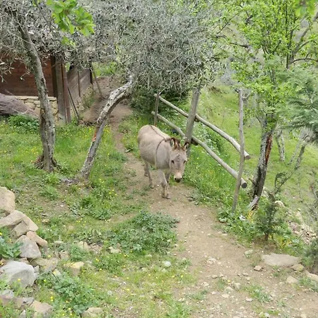 Casa Dei Trenta Casa vacanze *